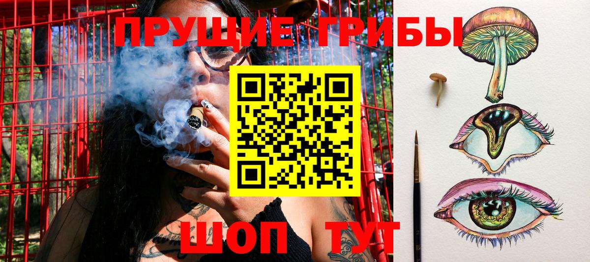 Псилоцибиновые грибы GOLDEN TEACHER Соликамск